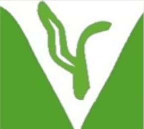 WhatsApp Image 2025 08 20 At 9.29.49 PM